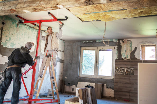 Best Commercial Insulation in Wright City, MO