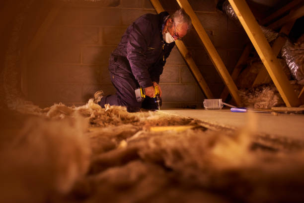 Best Insulation Installation Services in Wright City, MO